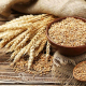 wheat-grains-min