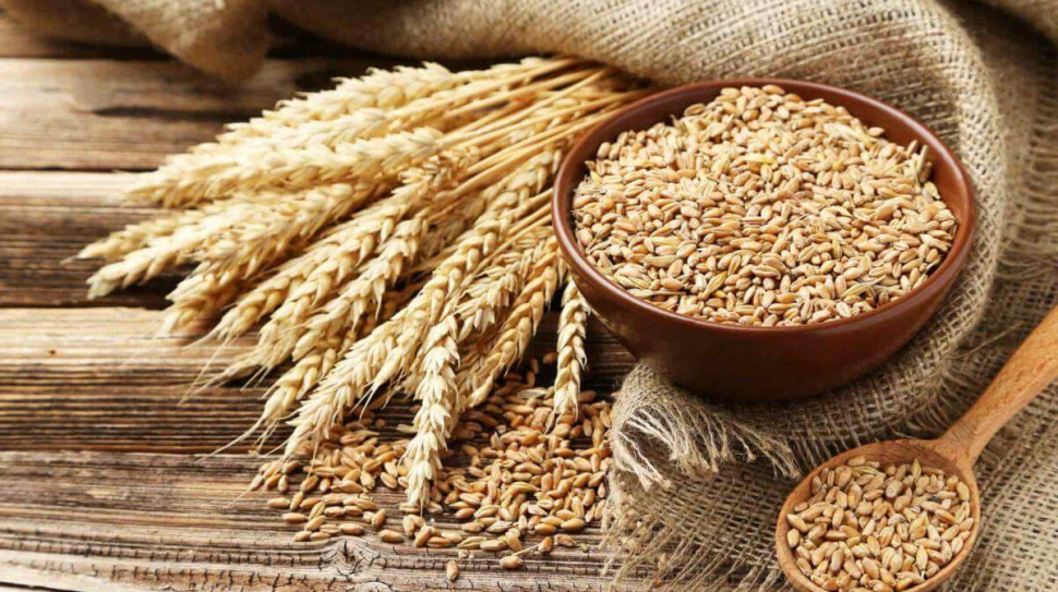 wheat-grains-min