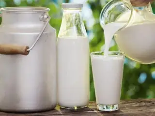 Сертификация молочной продукции
